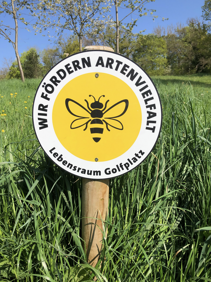 Out of bounds: preserving biodiversity on a Bavarian golf course